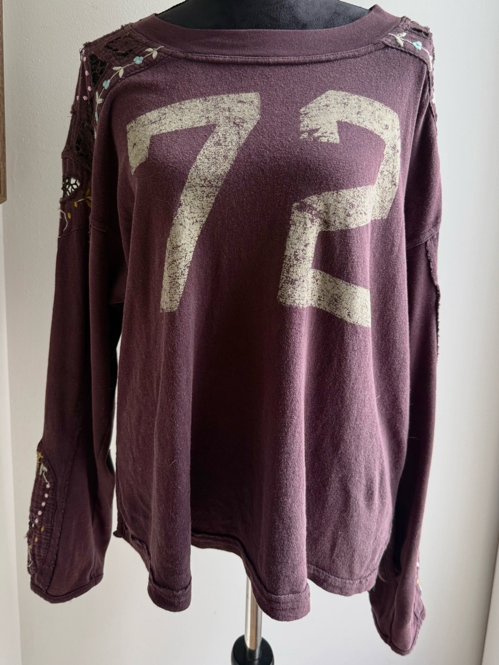 We The Free Plum Oversized Long Sleeve Graphic T-shirt Embroidered Details